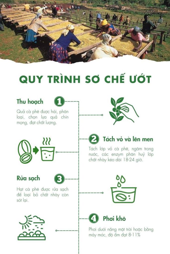 sơ chế cà phê