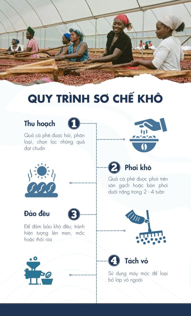 sơ chế cà phê