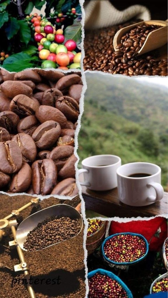 Cà phê nguyên chất