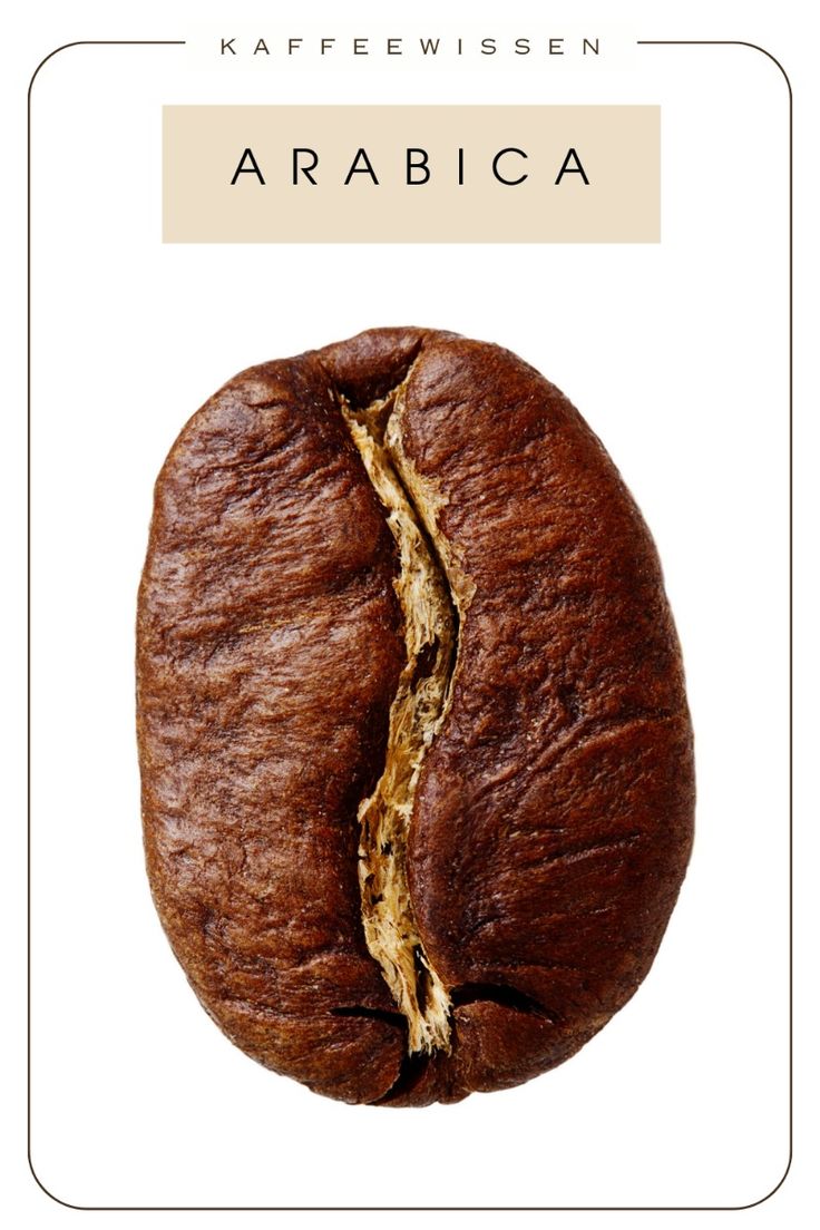 giống cà phê arabica