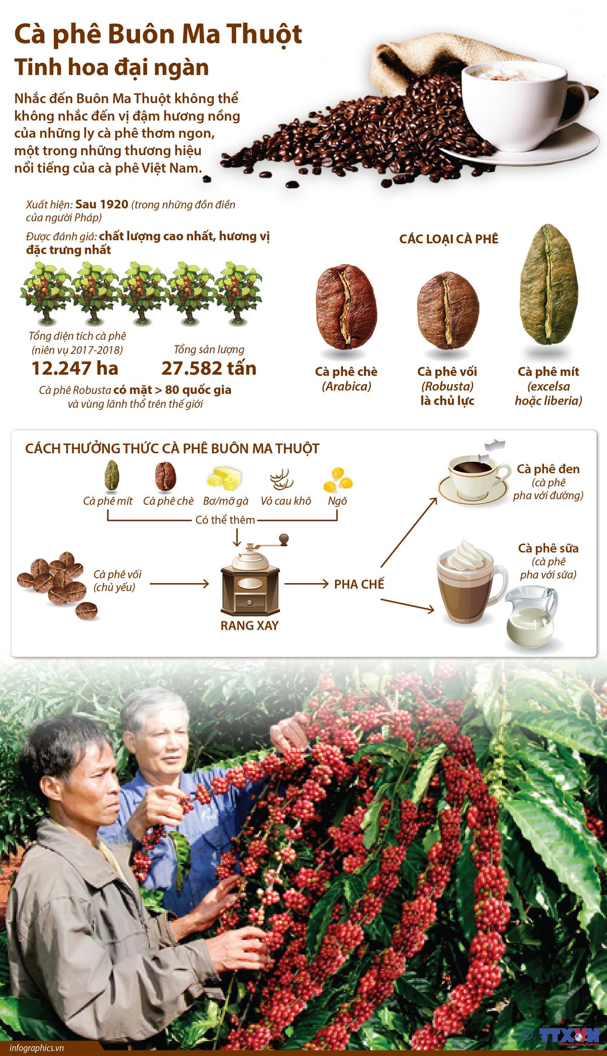 phương pháp chế biến cà phê nhân