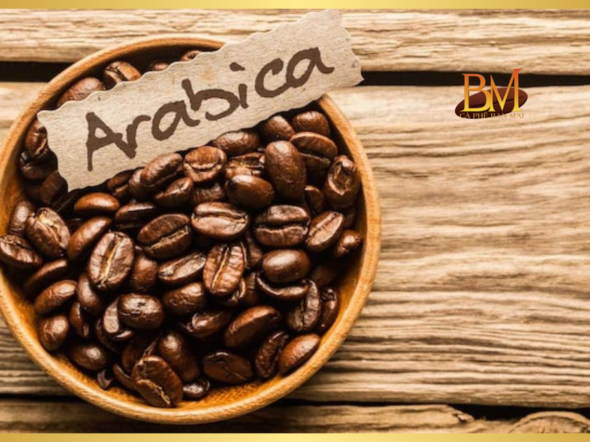 cung cấp cà phê hạt arabica