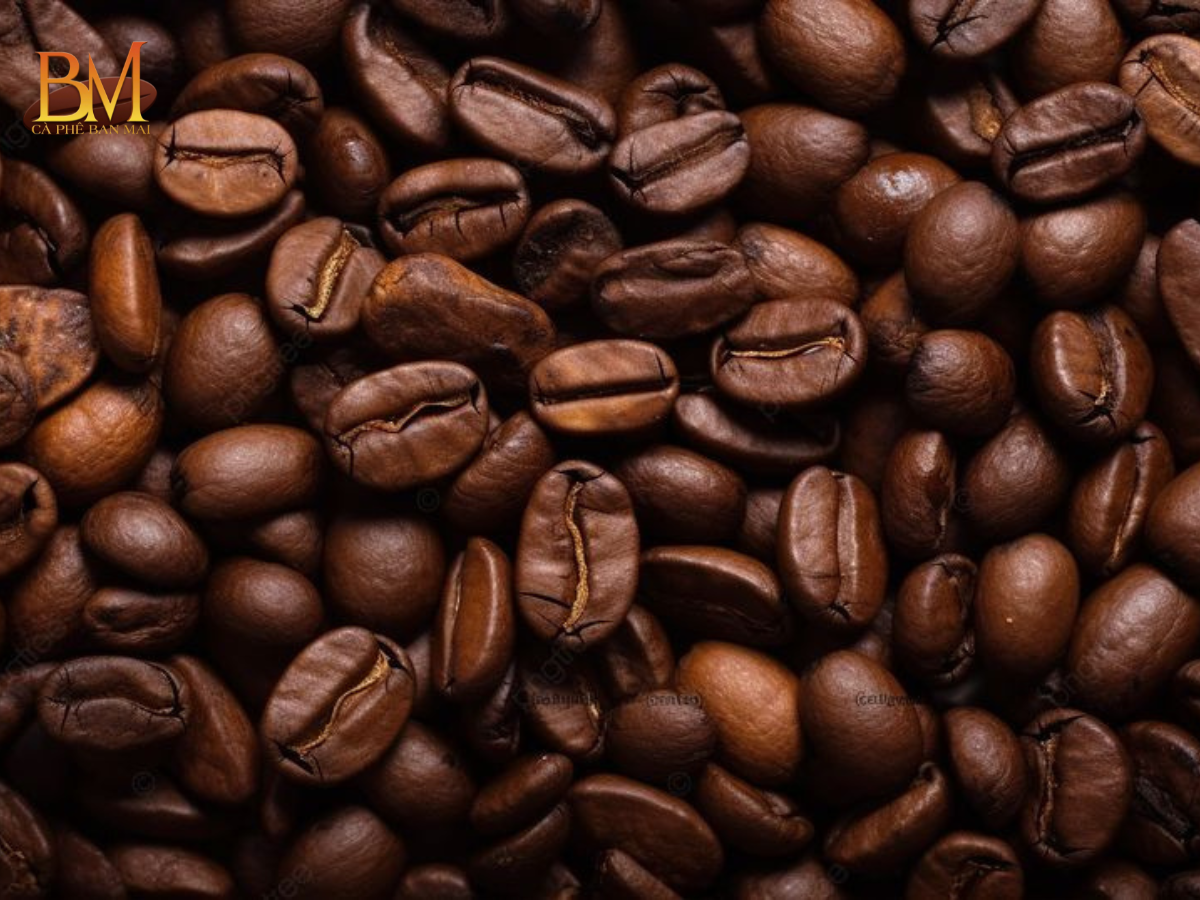 Cà Phê Arabica Có Vị Gì? Đặc Điểm Hương Vị Chi Tiết