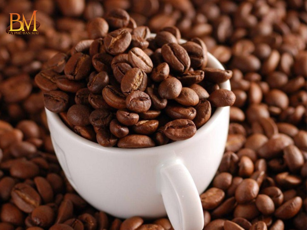 Cafe Hạt Là Gì? Hướng Dẫn Chọn Loại Phù Hợp