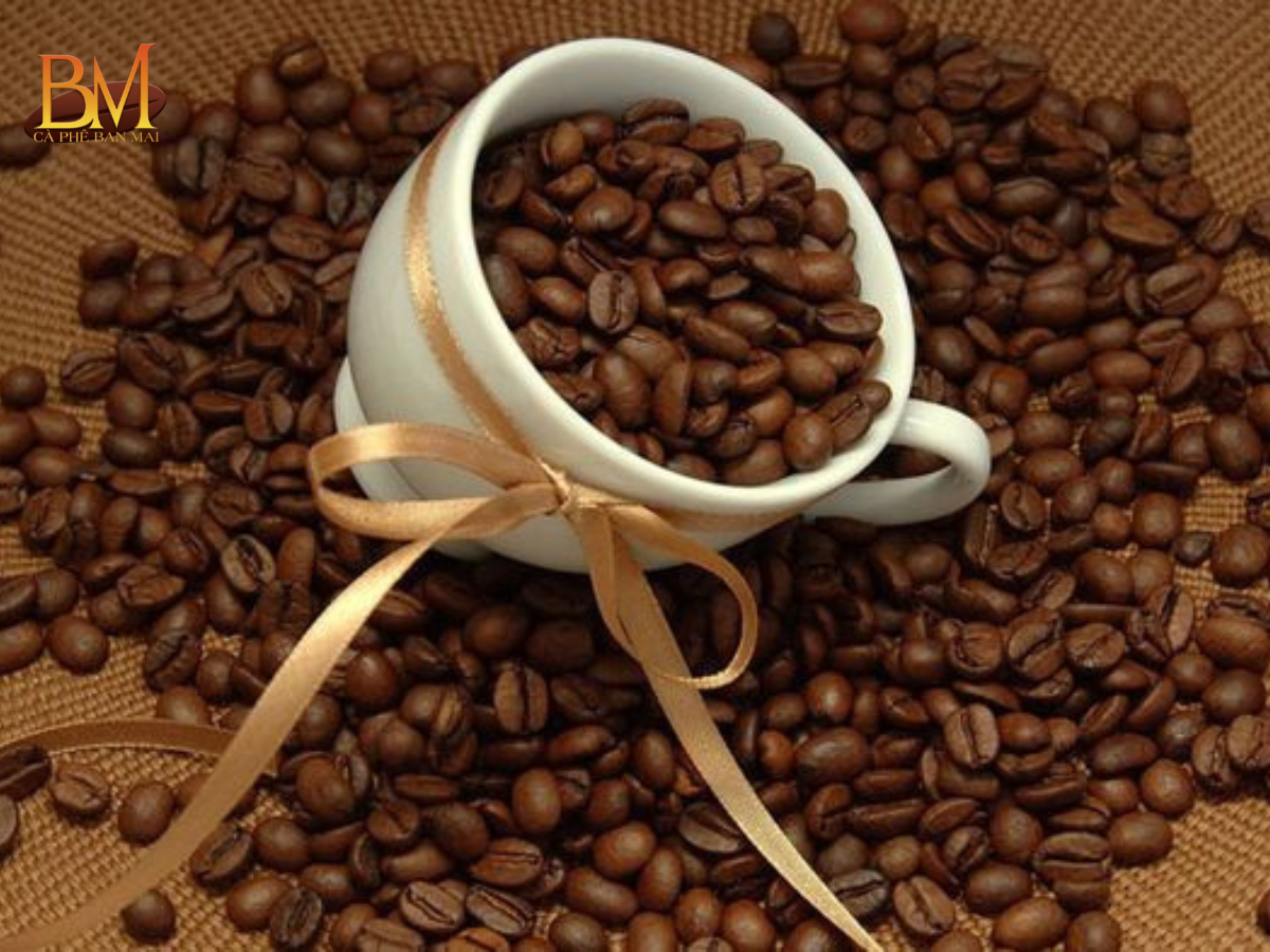Cafe Hạt Là Gì? Hướng Dẫn Chọn Loại Phù Hợp