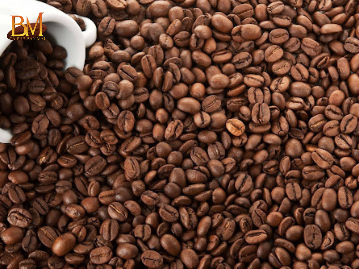 Cà Phê Rang Mộc Là Gì? Vì Sao Được Người Yêu Cà Phê Ưa Chuộng?