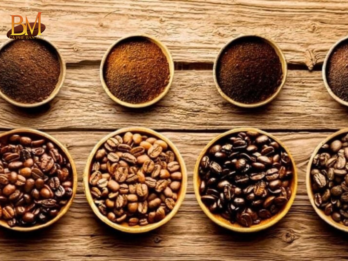 Các Loại Hạt Cafe Phổ Biến Và Cách Phân Biệt