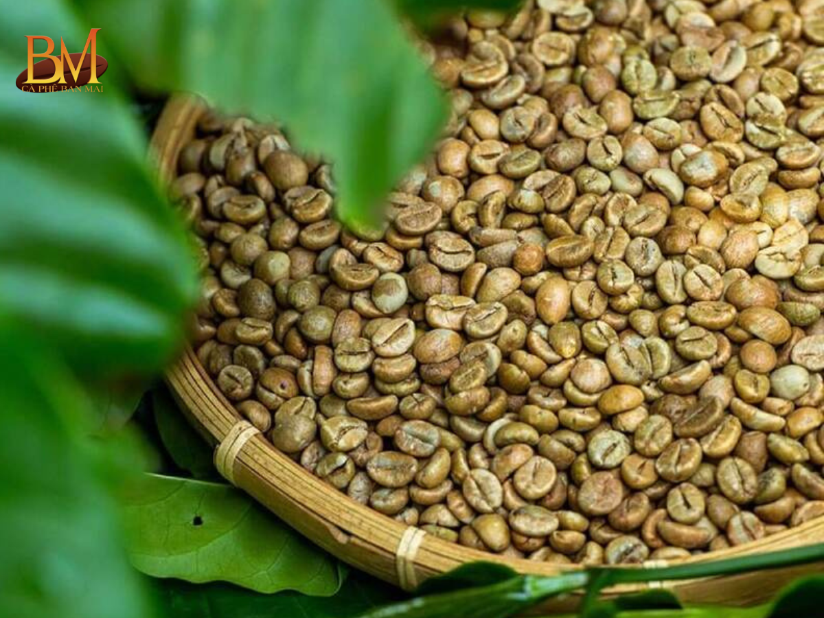 Cà Phê Hạt Nguyên Chất: Bí Quyết Thưởng Thức Trọn Vẹn Hương Vị