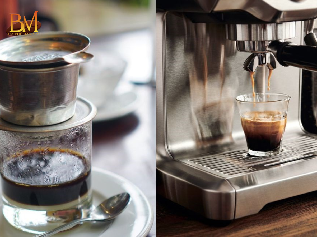 Cà Phê Hạt Pha Máy Loại Nào Ngon? Gợi Ý Cho Người Mới