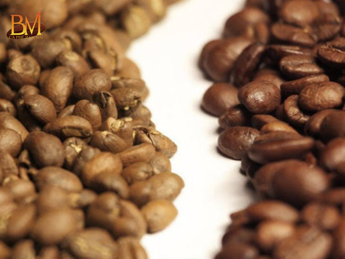 Hạt Cafe Arabica: Đặc Điểm, Hương Vị Và Cách Nhận Biết