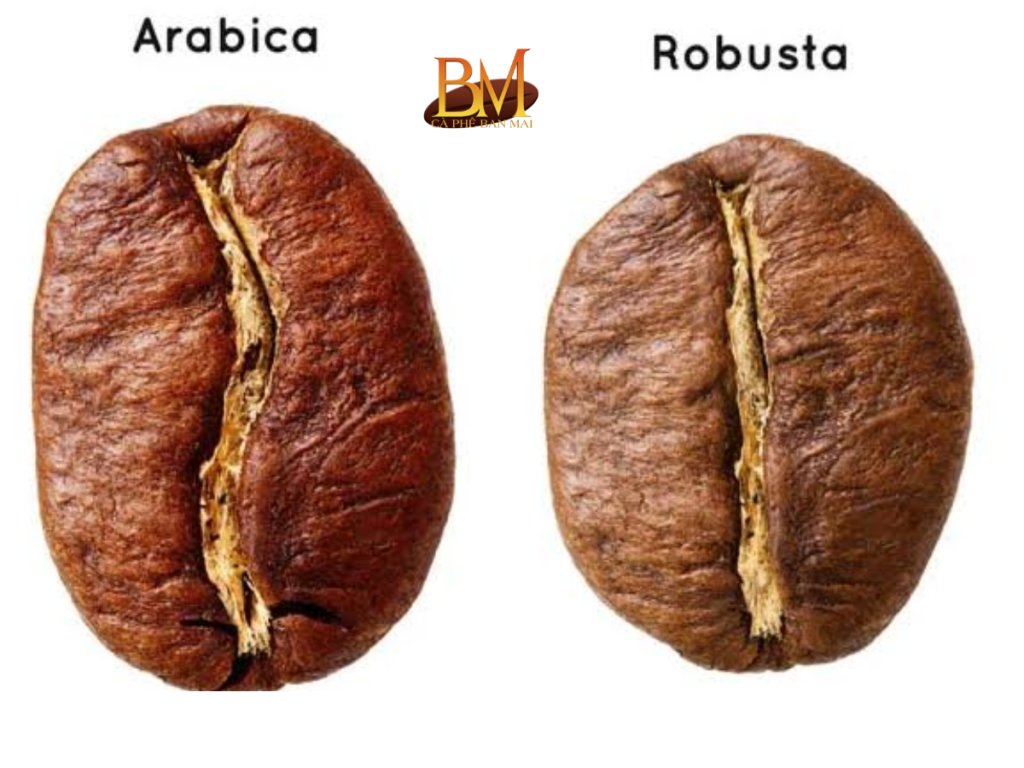 giá cà phê robusta và arabica