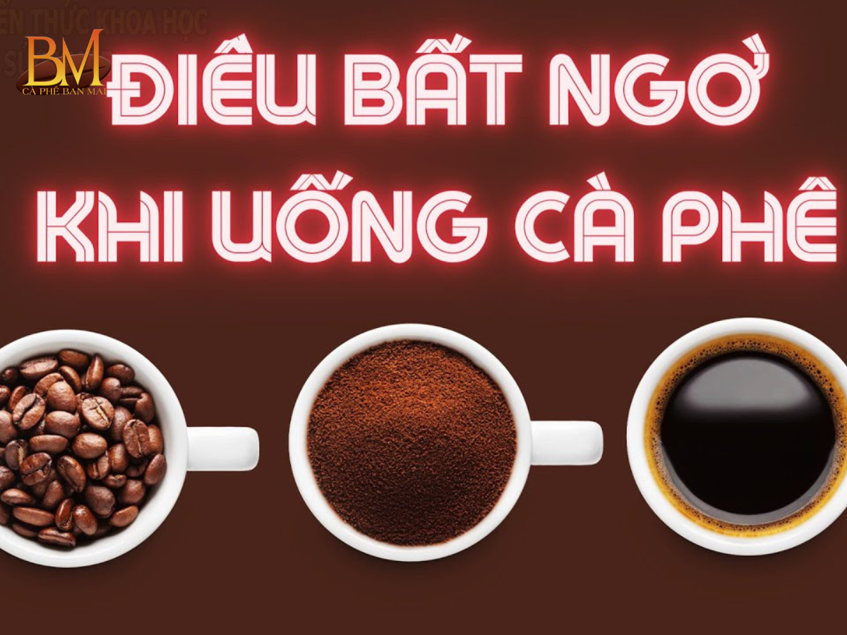 Công Dụng Của Cà Phê Đối Với Sức Khỏe Và Đời Sống Hằng Ngày