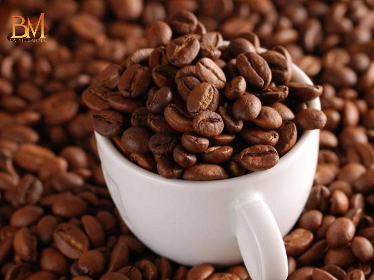 Cà Phê Vối Là Gì? Đặc Điểm, Hương Vị Và Giá Trị Kinh Tế