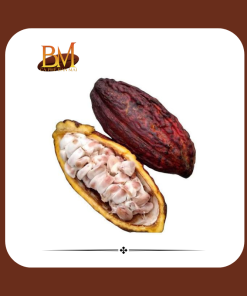 Trái cacao tươi - 1 Kg