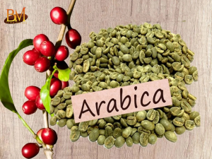 Hạt Arabica Có Gì Đặc Biệt? Hương Vị Và Ưu Điểm Nổi Bật