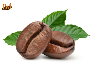 Hạt Cà Phê: Cách Chọn Hạt Ngon Cho Người Mới Bắt Đầu