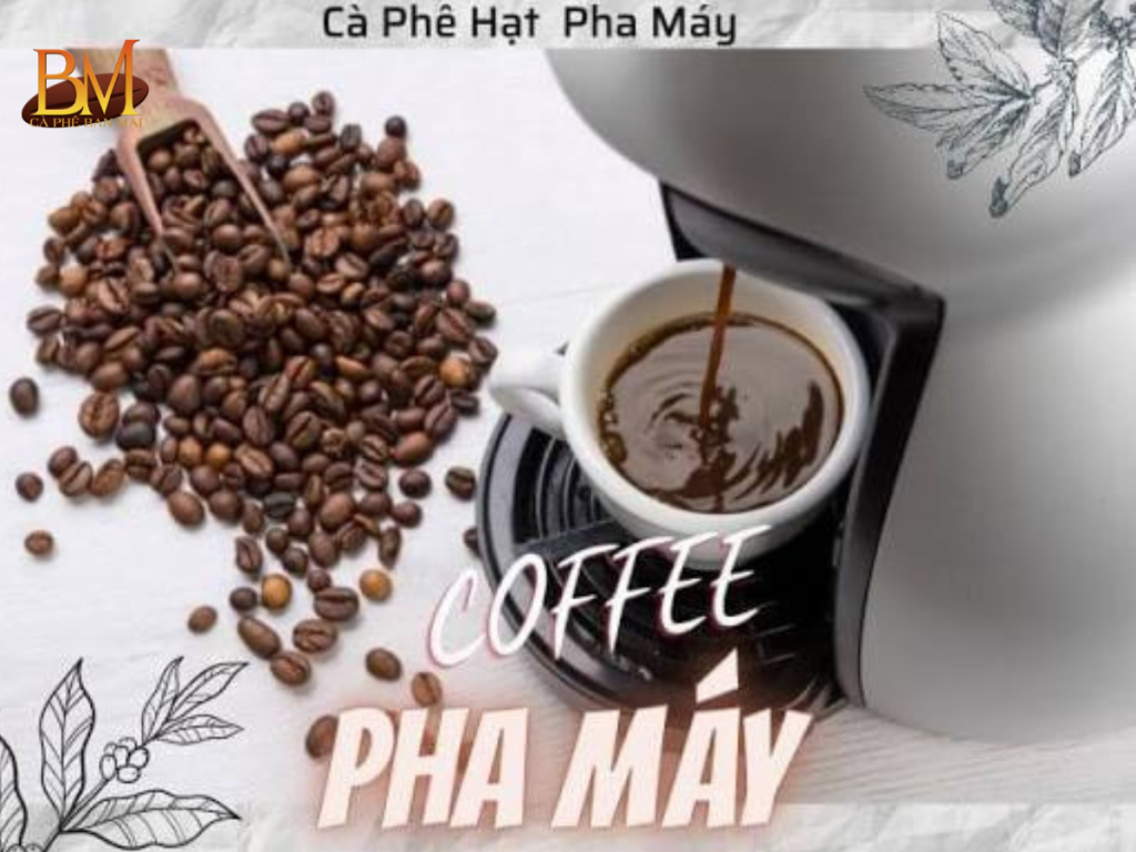 Cà Phê Hạt Pha Máy Loại Nào Ngon? Gợi Ý Cho Người Mới