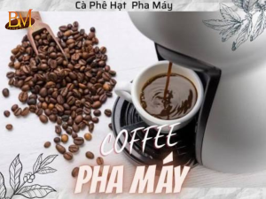 Cà Phê Hạt Pha Máy Loại Nào Ngon? Gợi Ý Cho Người Mới