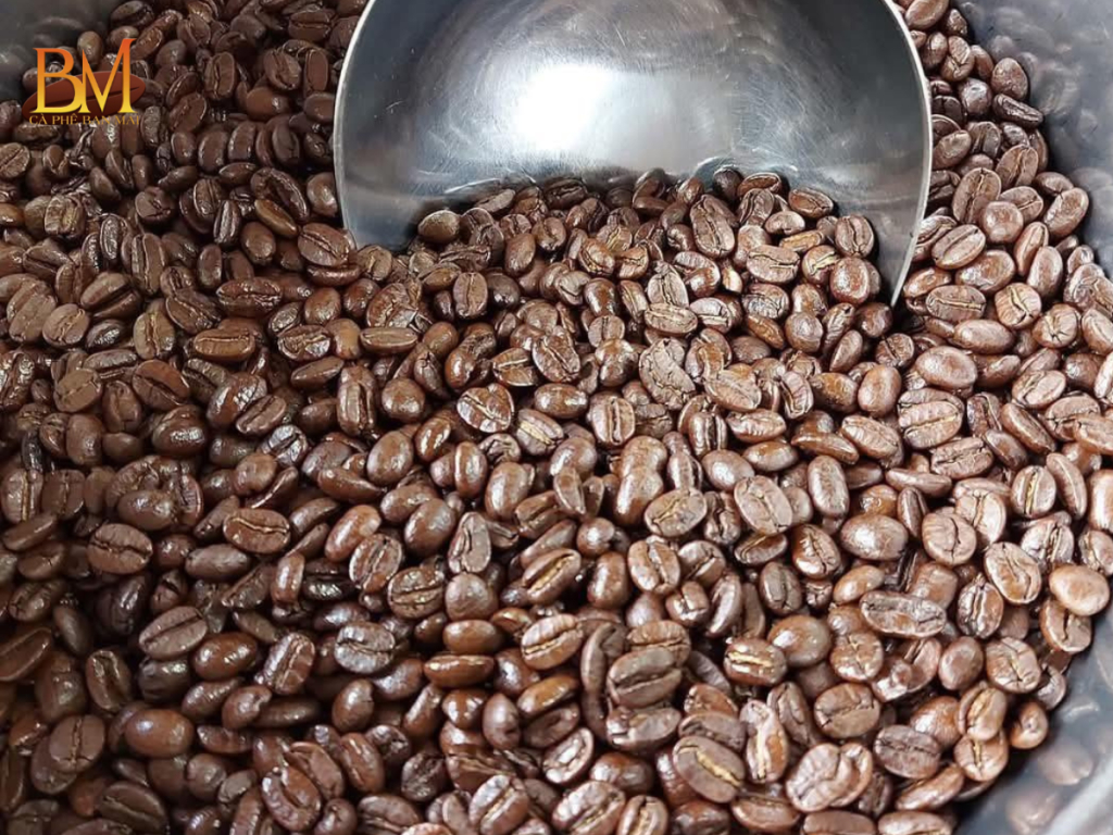 Cà Phê Robusta Rang Mộc Có Gì Đặc Biệt?
