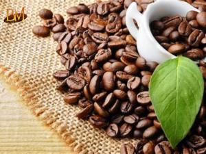 Hạt Cafe Nguyên Chất: Cách Chọn Và Bảo Quản Hiệu Quả Cùng Cà Phê Ban Mai