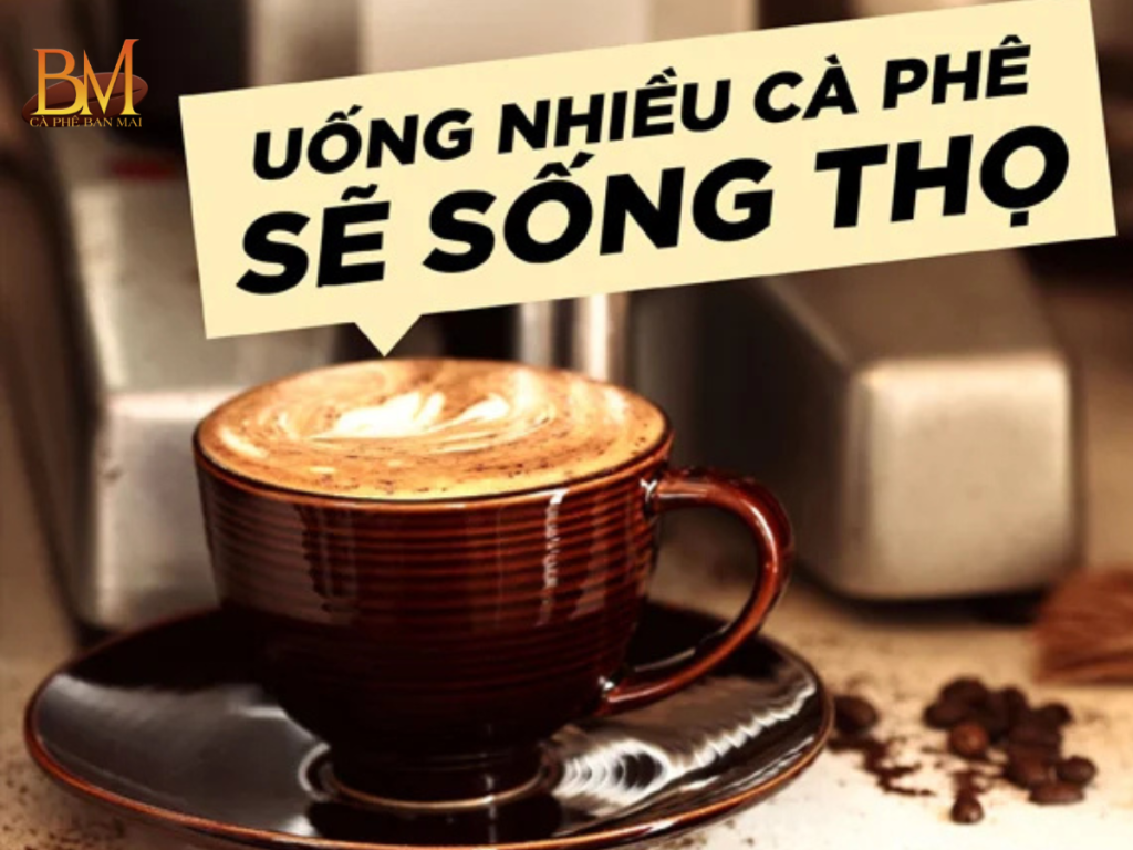 Tác Dụng Của Cà Phê Đen Đối Với Sức Khỏe Và Cuộc Sống Hằng Ngày