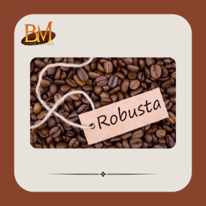 giống cà phê robusta